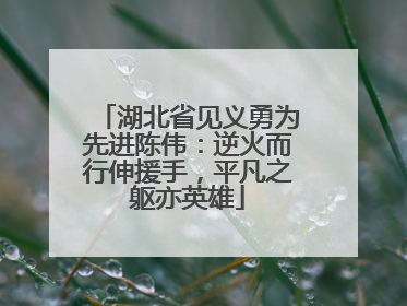 湖北省见义勇为先进陈伟：逆火而行伸援手，平凡之躯亦英雄